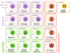 Standard_Model_of_Elementary_Particles