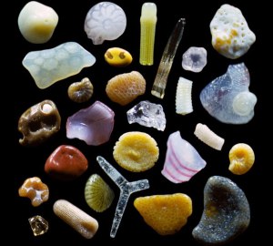 sand-grains-under-microscope-gary-greenberg-1
