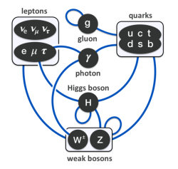 Elementary_particle_interactions_in_the_Standard_Model