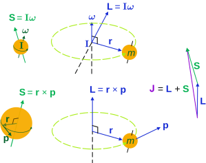1280px-Classical_angular_momentum