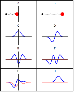 QuantumHarmonicOscillatorAnimation